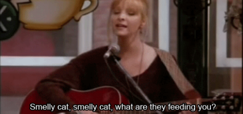 Att Phoebe är ett geni vad gäller låtskriveri 